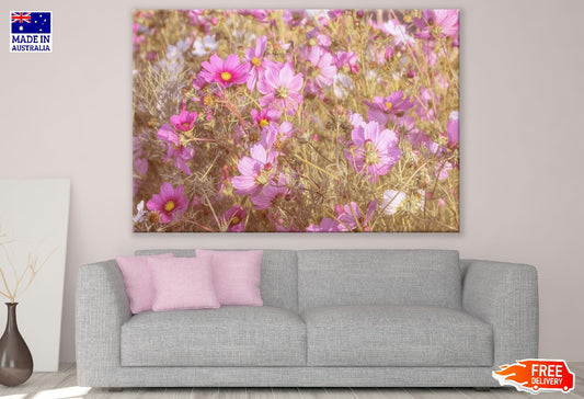 Pink Cosmeas Flowers Field Photograph Print 100% Australian Made