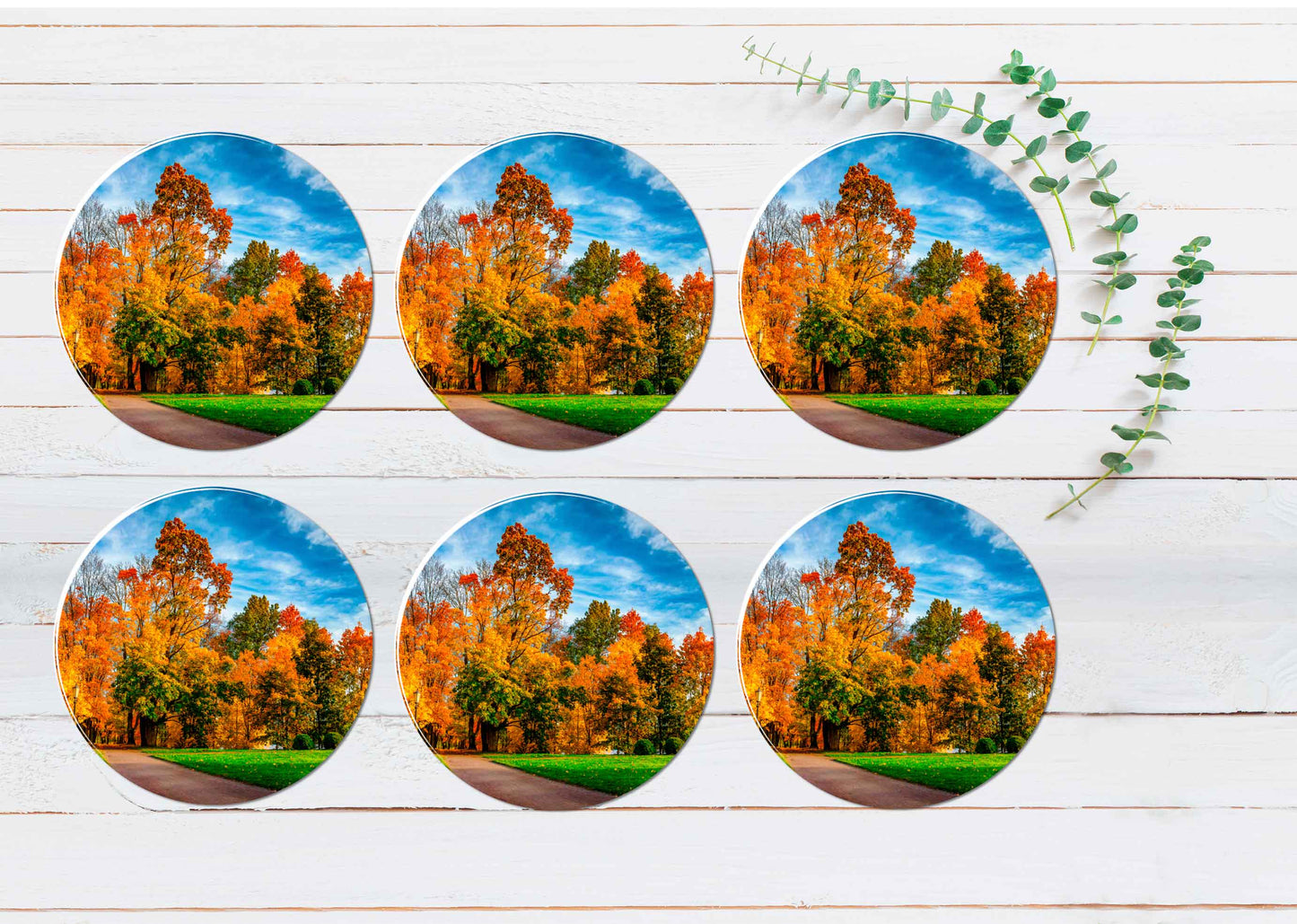 Autumn Park in Sunny Bright Day Coasters Wood & Rubber - Set of 6 Coasters