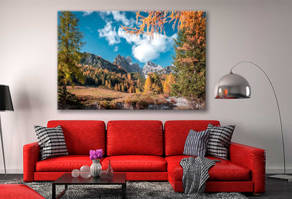 Bella Home Autumn Forest & Blue Sky View Print Canvas Ready to hang