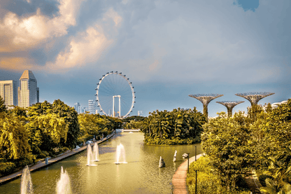 Singapore Gardens By the Bay Print 100% Australian Made