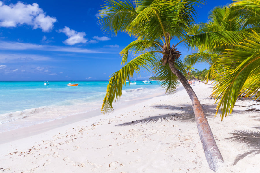 Palm Trees on Saona Island Sea Photograph Home Decor Premium Quality Poster Print Choose Your Sizes