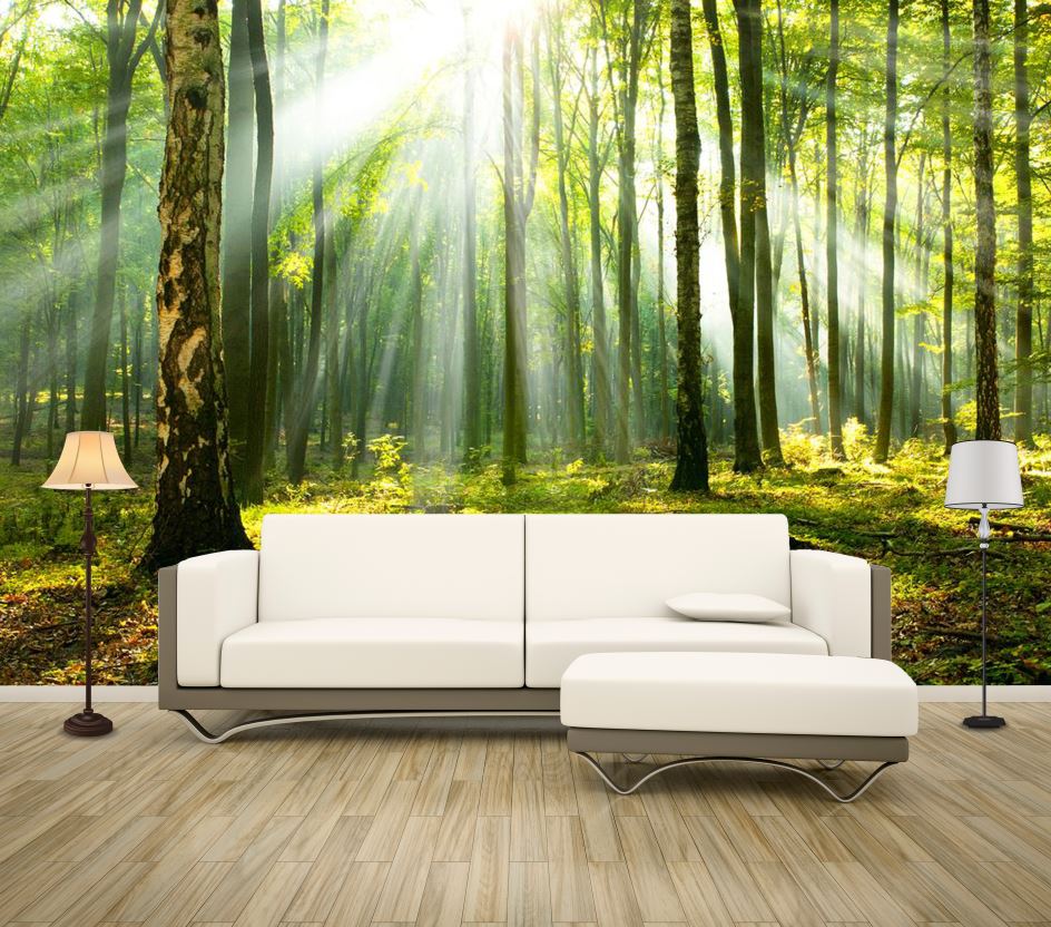 Wallpaper Murals Peel and Stick Removable Sunlight Through Trees In Forest High Quality