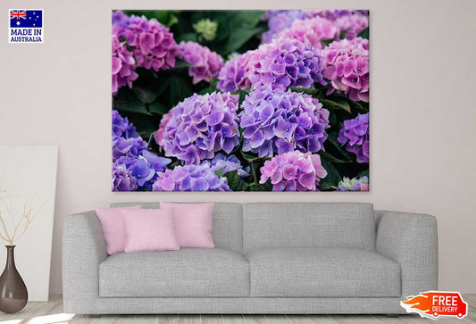 Pink Purple Hydrangea Flowers Photograph Print 100% Australian Made