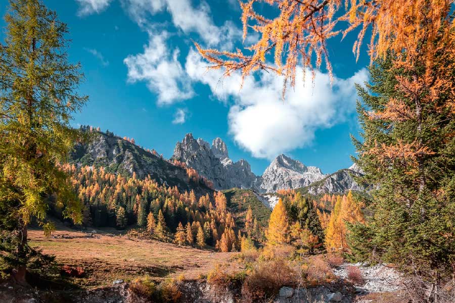 Bella Home Autumn Forest & Blue Sky View Print Canvas Ready to hang