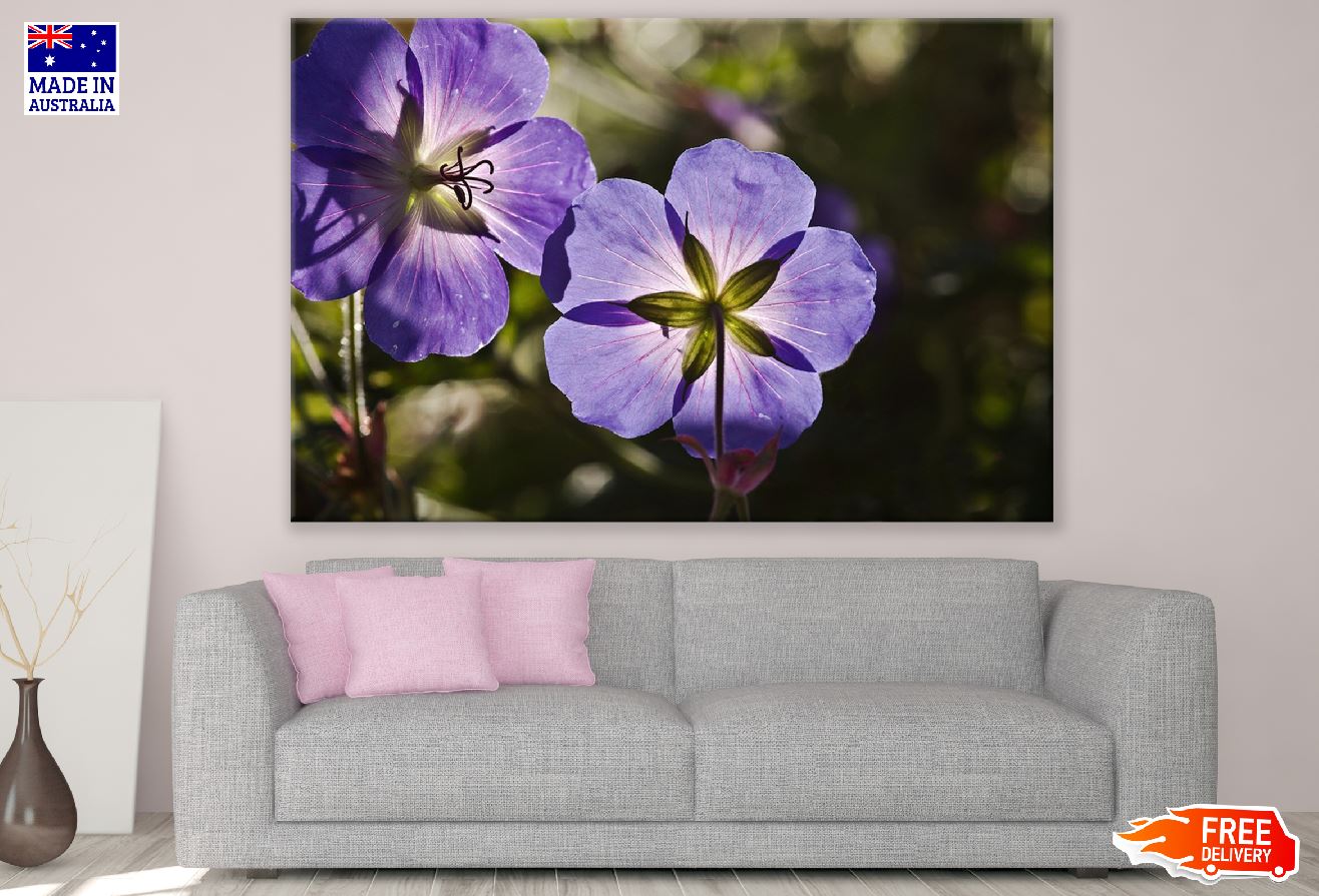 Purple Cranesbill Flowers Photograph Print 100% Australian Made