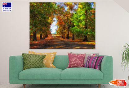 Autumn Trees & Road Photograph Print 100% Australian Made