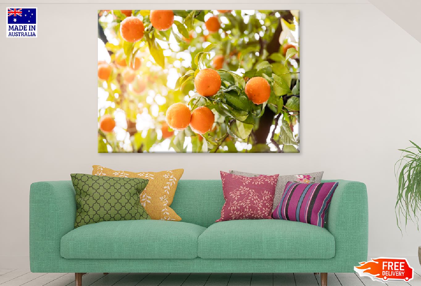 Orange Citrus Tree Sunset View Photograph Print 100% Australian Made