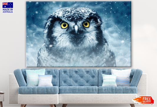 Owl Portrait Photograph Print 100% Australian Made