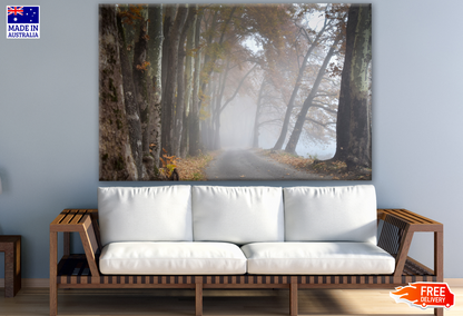 Misty Forest Road Photograph Print 100% Australian Made