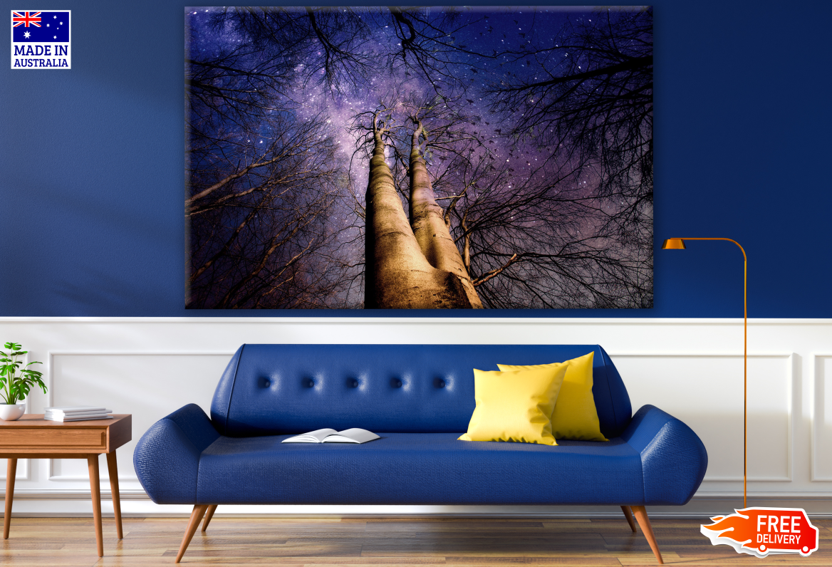 Stunning Night Sky View with High Trees Photograph Print 100% Australian Made