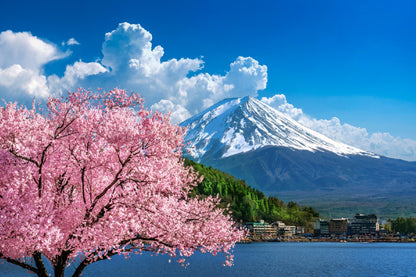 Fuji Mountain Cherry Blossom Tree Photograph Print 100% Australian Made