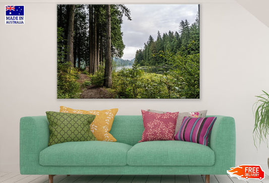 Forest Pathway with Lake Photograph Print 100% Australian Made