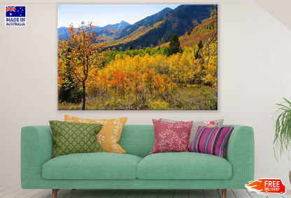 Autumn Trees & Mountains View Photograph Print 100% Australian Made
