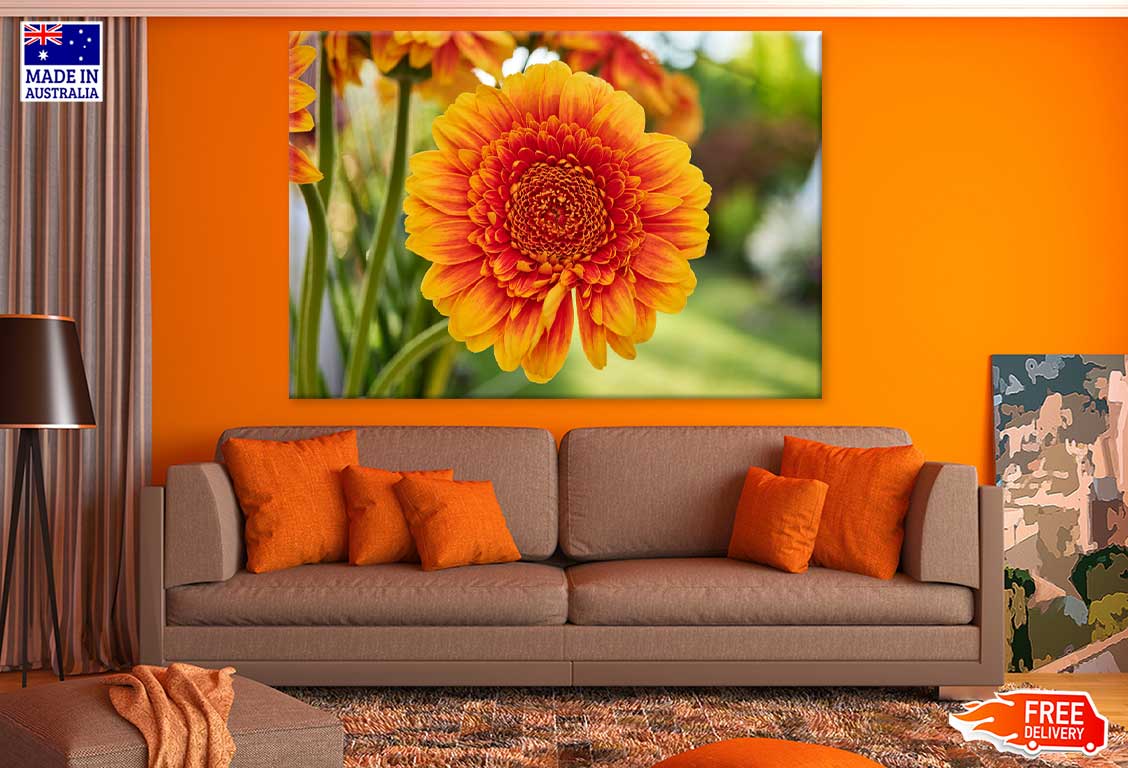 Orange Gerbera Flower Photograph Print 100% Australian Made