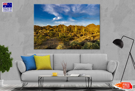 Sunset Sonoran Desert View Photograph Print 100% Australian Made