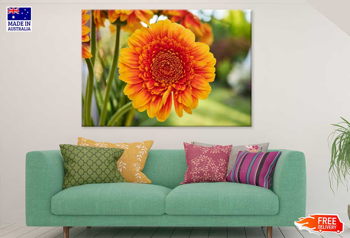 Orange Gerbera Flower Photograph Print 100% Australian Made