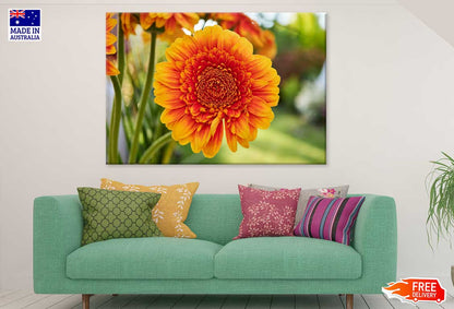 Orange Gerbera Flower Photograph Print 100% Australian Made