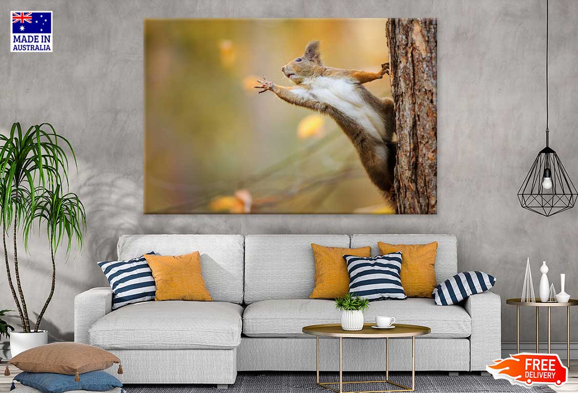 Squirrel on Tree Closeup View Photograph Print 100% Australian Made