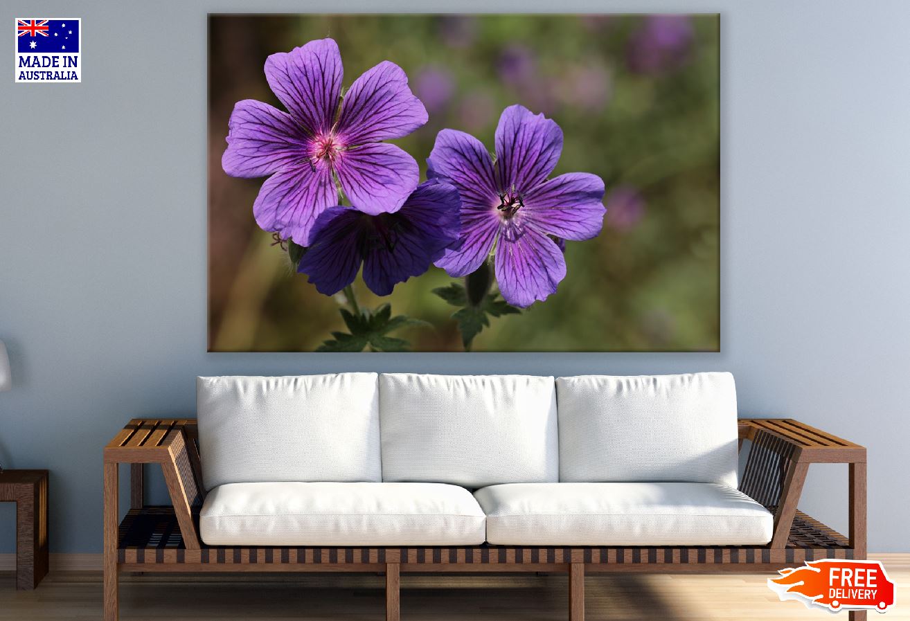 Purple Cranesbill Flowers Closeup Photograph Print 100% Australian Made
