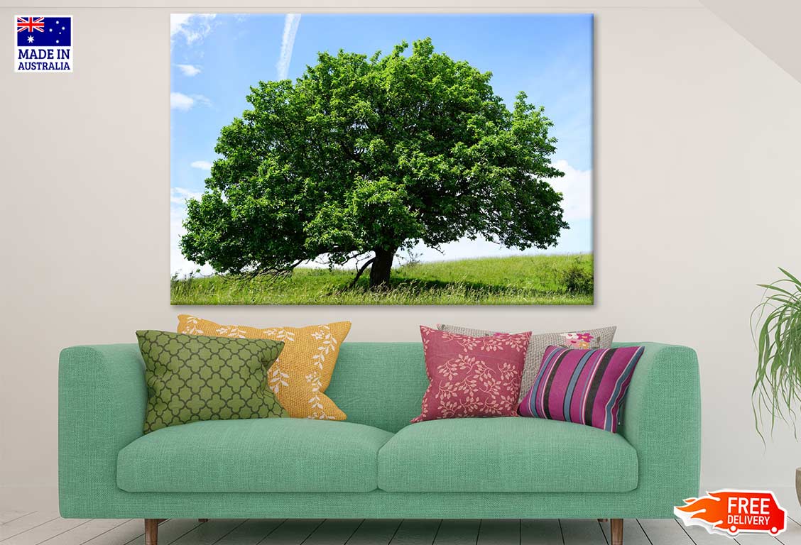 Huge Tree Photograph Print 100% Australian Made