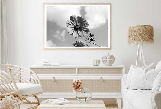 Cosmos Flower Closeup B&W View Home Decor Premium Quality Poster Print Choose Your Sizes