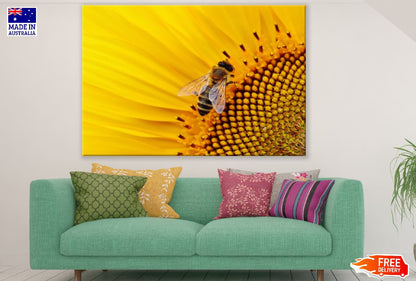 Closeup Macro Bee Working on Sunflower Photograph Print 100% Australian Made