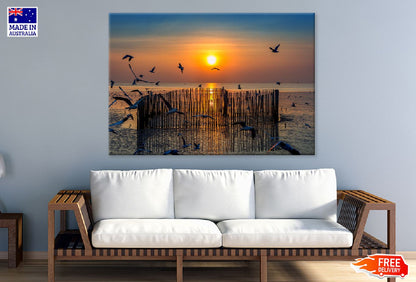 Sea Sunset with of Birds Flying Photograph Print 100% Australian Made