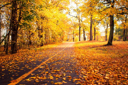 Bella Home Sunny Day in Autumn Park View Print Canvas Ready to hang