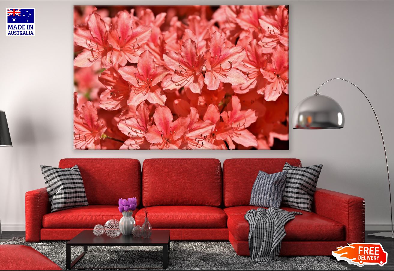 Red Rhododendrons Flowers Photograph Print 100% Australian Made