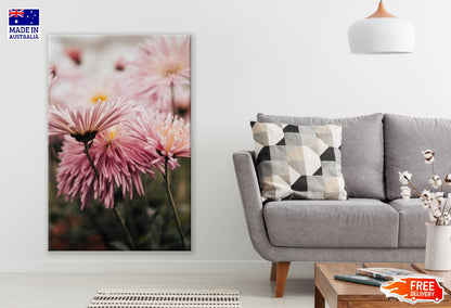 Pink Dahlia Flowers Photograph Print 100% Australian Made