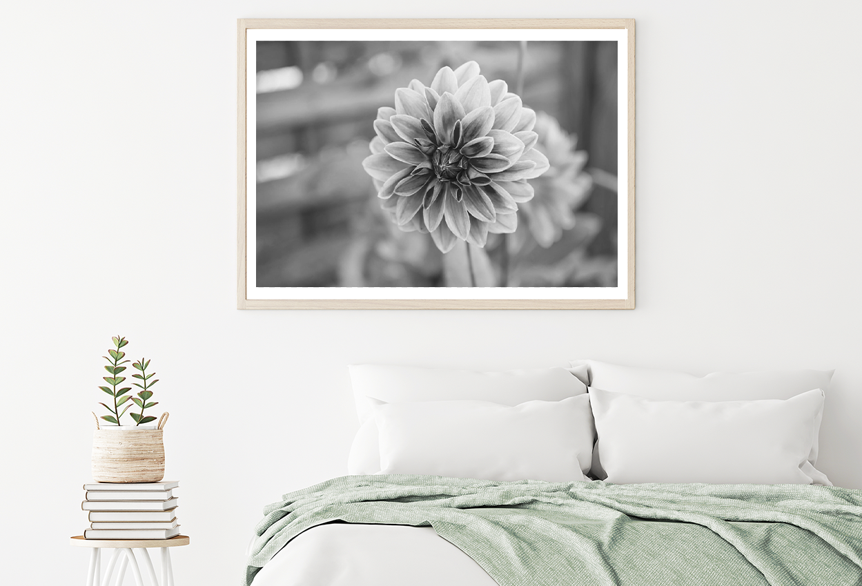 Dahlia Flower B&W Photograph Home Decor Premium Quality Poster Print Choose Your Sizes