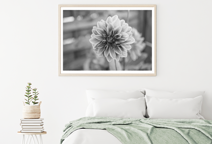 Dahlia Flower B&W Photograph Home Decor Premium Quality Poster Print Choose Your Sizes