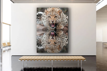 Leopard Reflect Water Print Tempered Glass Wall Art 100% Made in Australia Ready to Hang