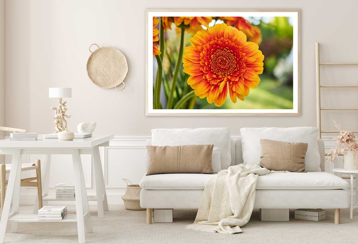 Orange Gerbera Flower Photograph Home Decor Premium Quality Poster Print Choose Your Sizes