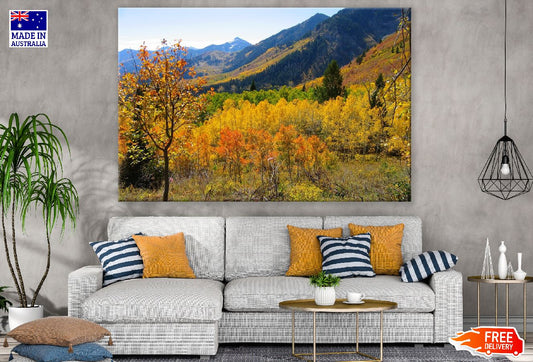 Autumn Trees & Mountains View Photograph Print 100% Australian Made