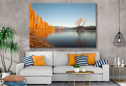 Bella Home That Wanaka Tree in Autumn in New Zealand Print Canvas Ready to hang