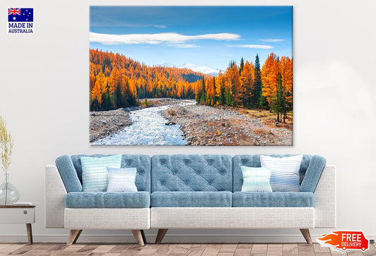 River & Forest Scenery Photograph Print 100% Australian Made