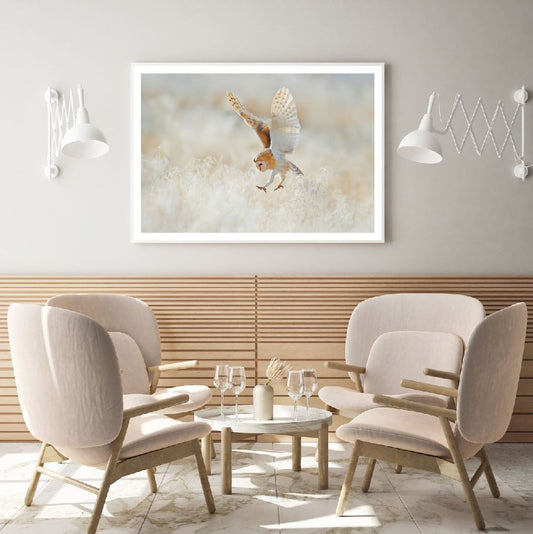 Owl Flying on Field Photograph Home Decor Premium Quality Poster Print Choose Your Sizes