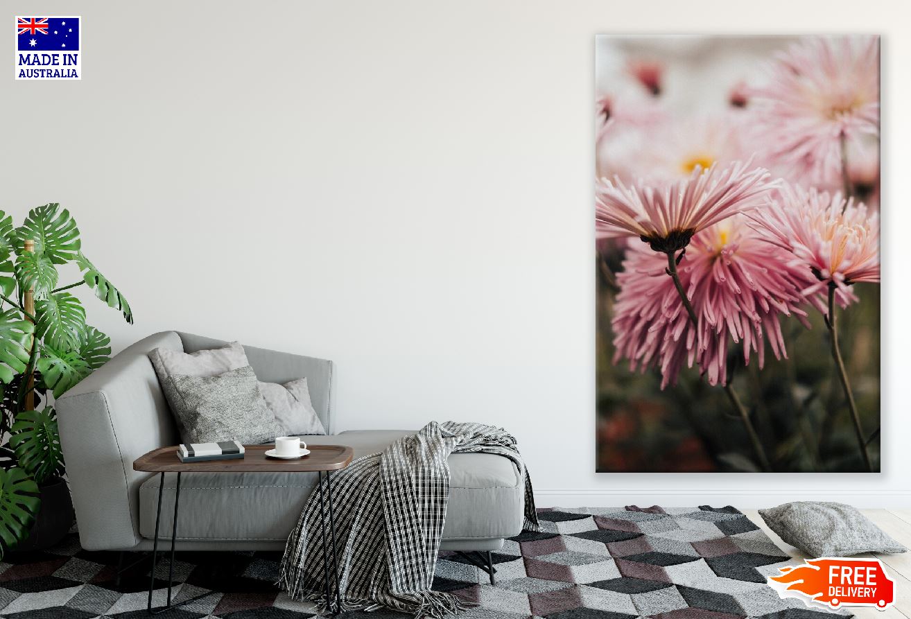 Pink Dahlia Flowers Photograph Print 100% Australian Made