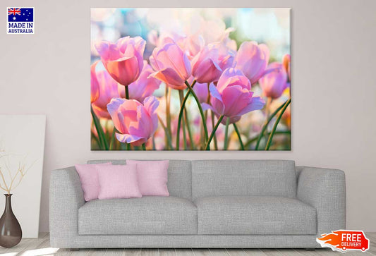 Pink Tulip Flowers Closeup View Photograph Print 100% Australian Made