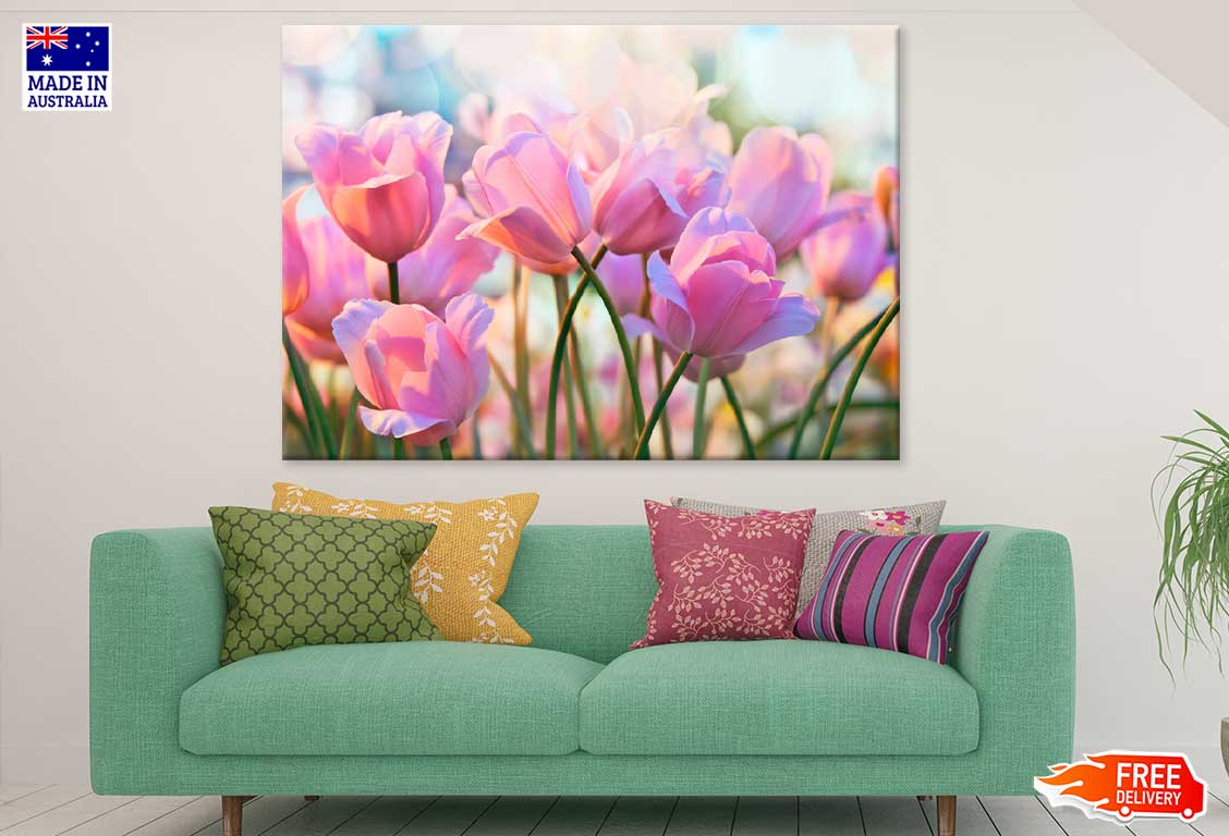 Pink Tulip Flowers Closeup View Photograph Print 100% Australian Made