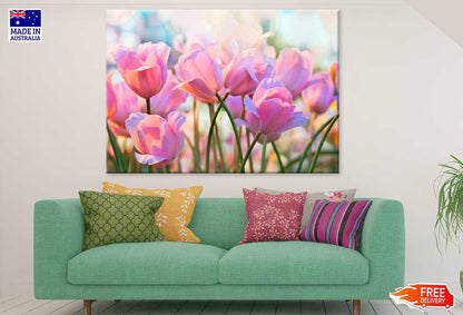 Pink Tulip Flowers Closeup View Photograph Print 100% Australian Made