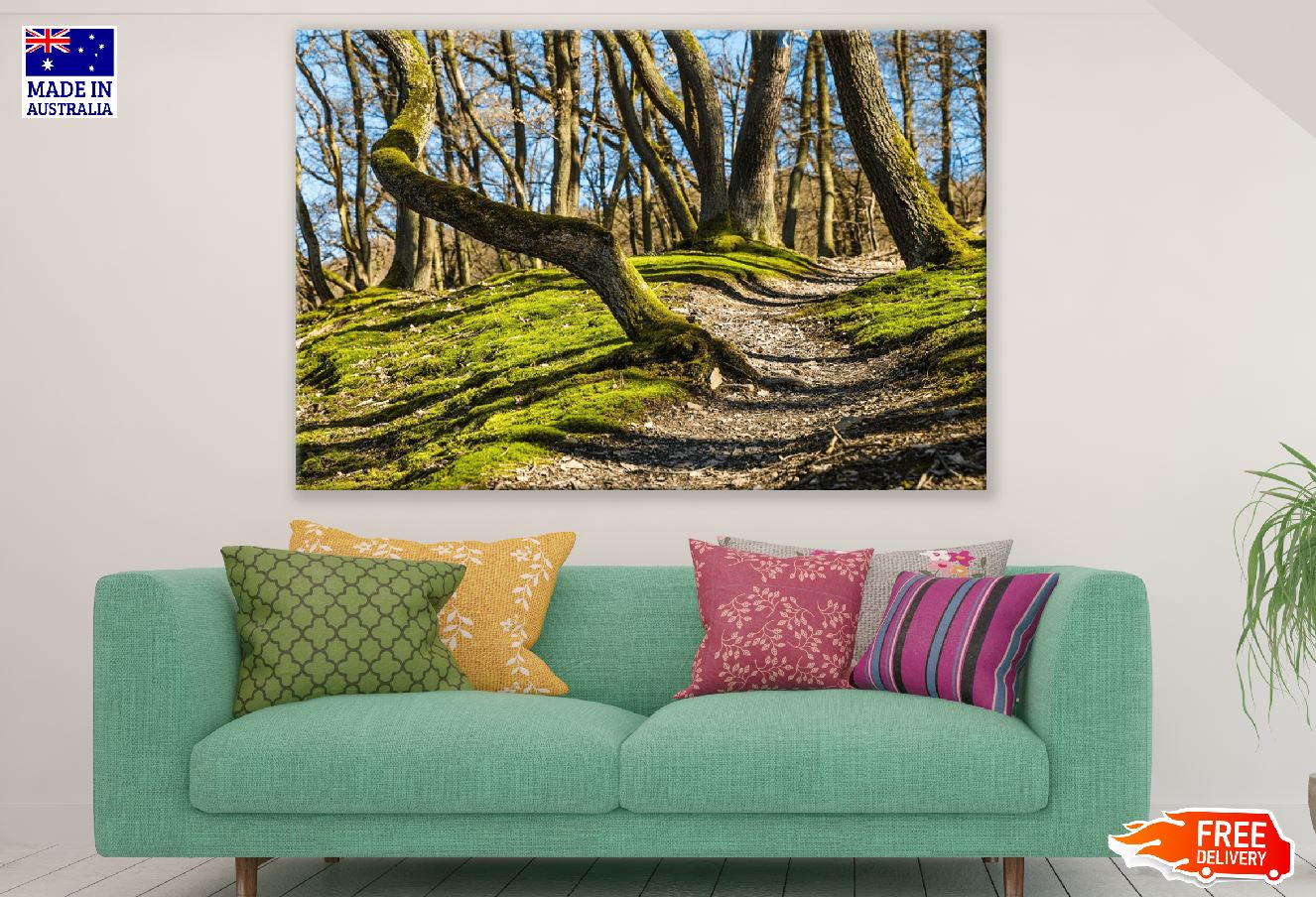 Curves of the Tree Trunks Forest Photograph Print 100% Australian Made