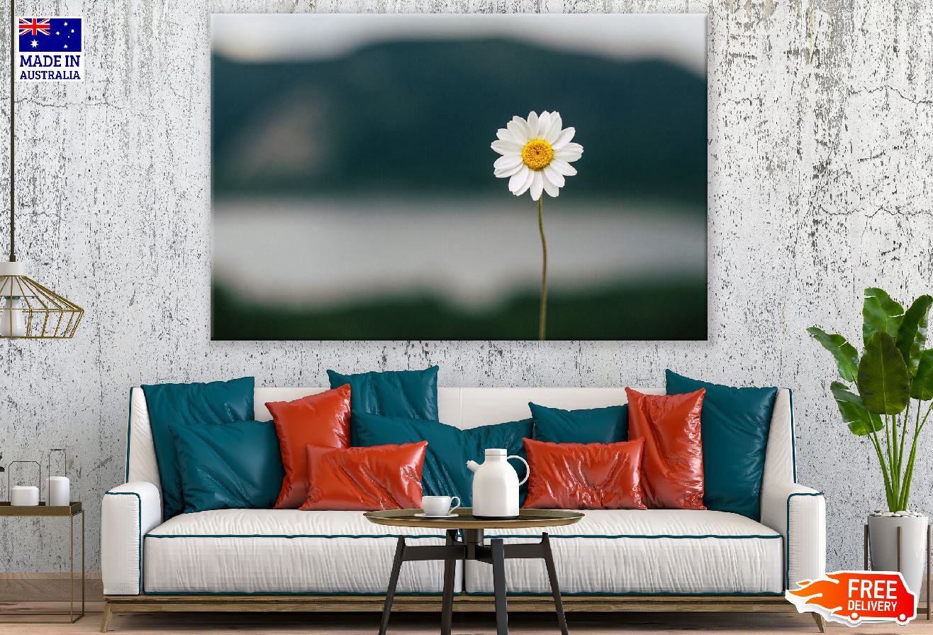 Daisy Flower Closeup Photograph Print 100% Australian Made