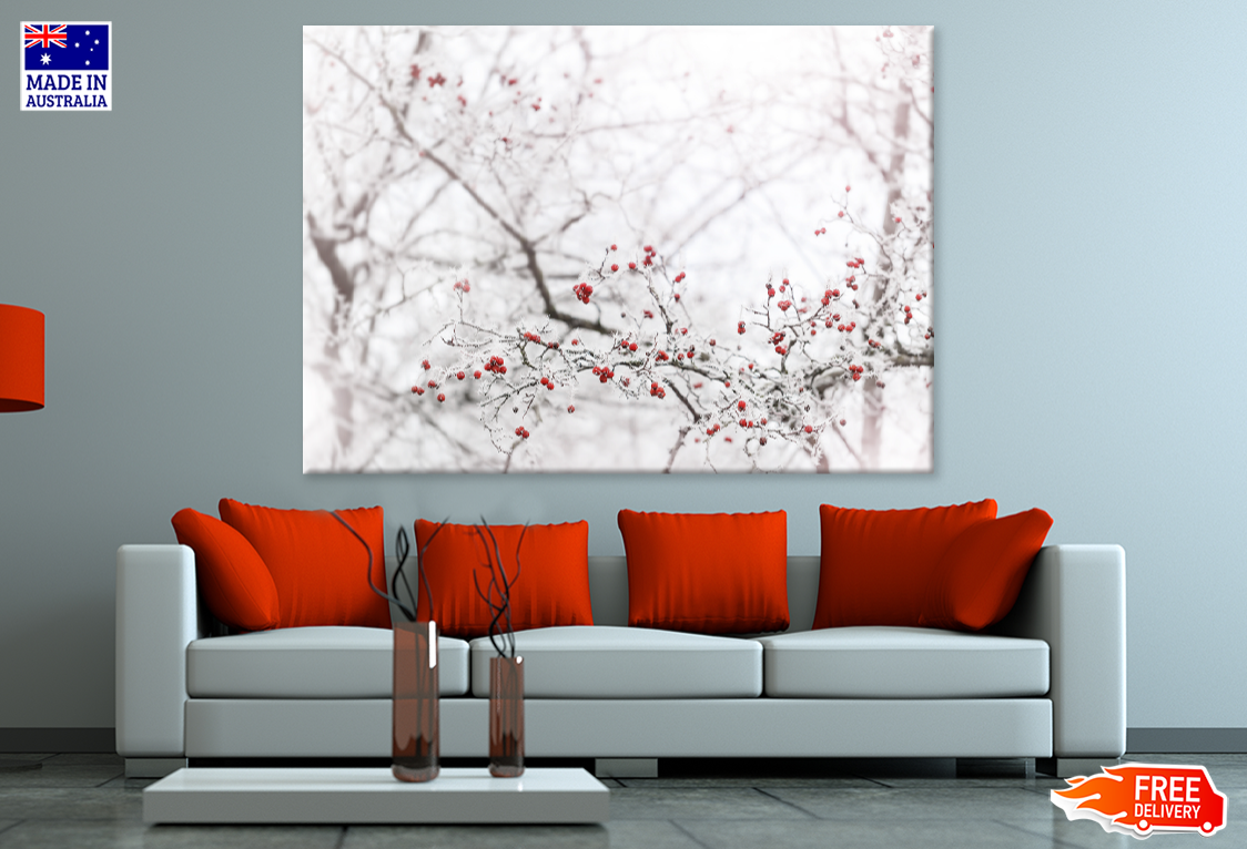 Winter Berries Closeup Photograph View Print 100% Australian Made