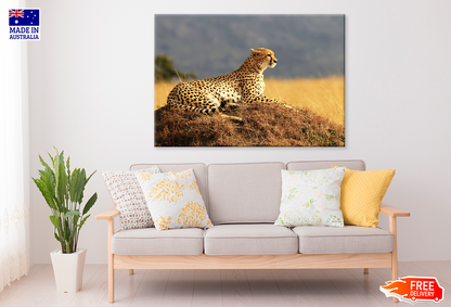 Lepard & Forest View Photograph Print 100% Australian Made