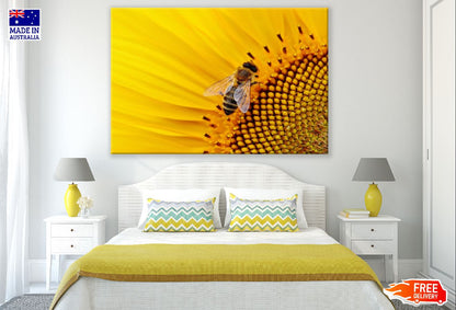 Closeup Macro Bee Working on Sunflower Photograph Print 100% Australian Made