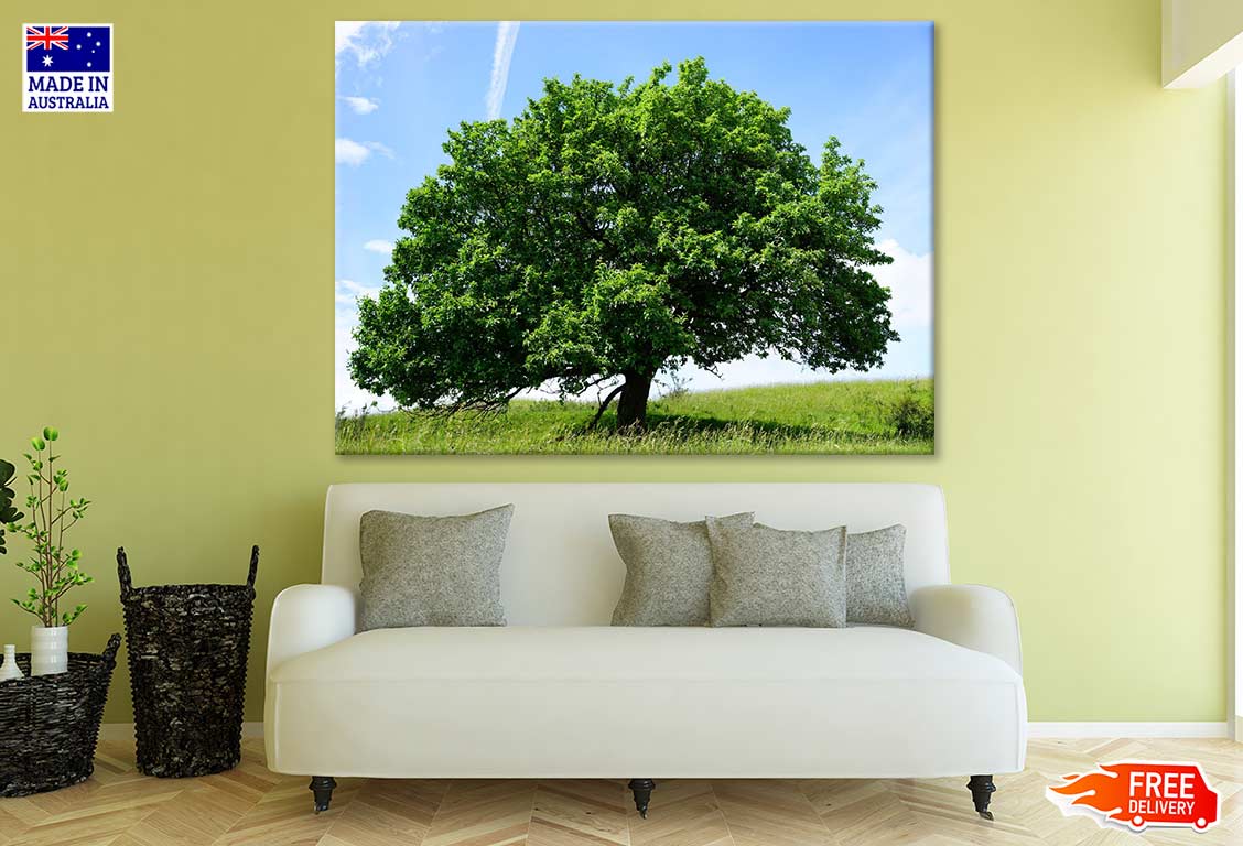 Huge Tree Photograph Print 100% Australian Made