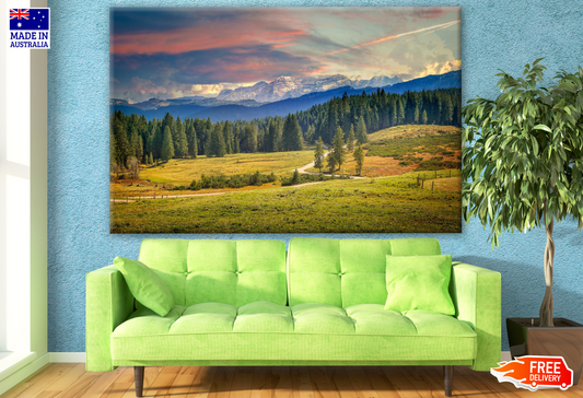 Stunning Forest View with Mountains Photograph Print 100% Australian Made