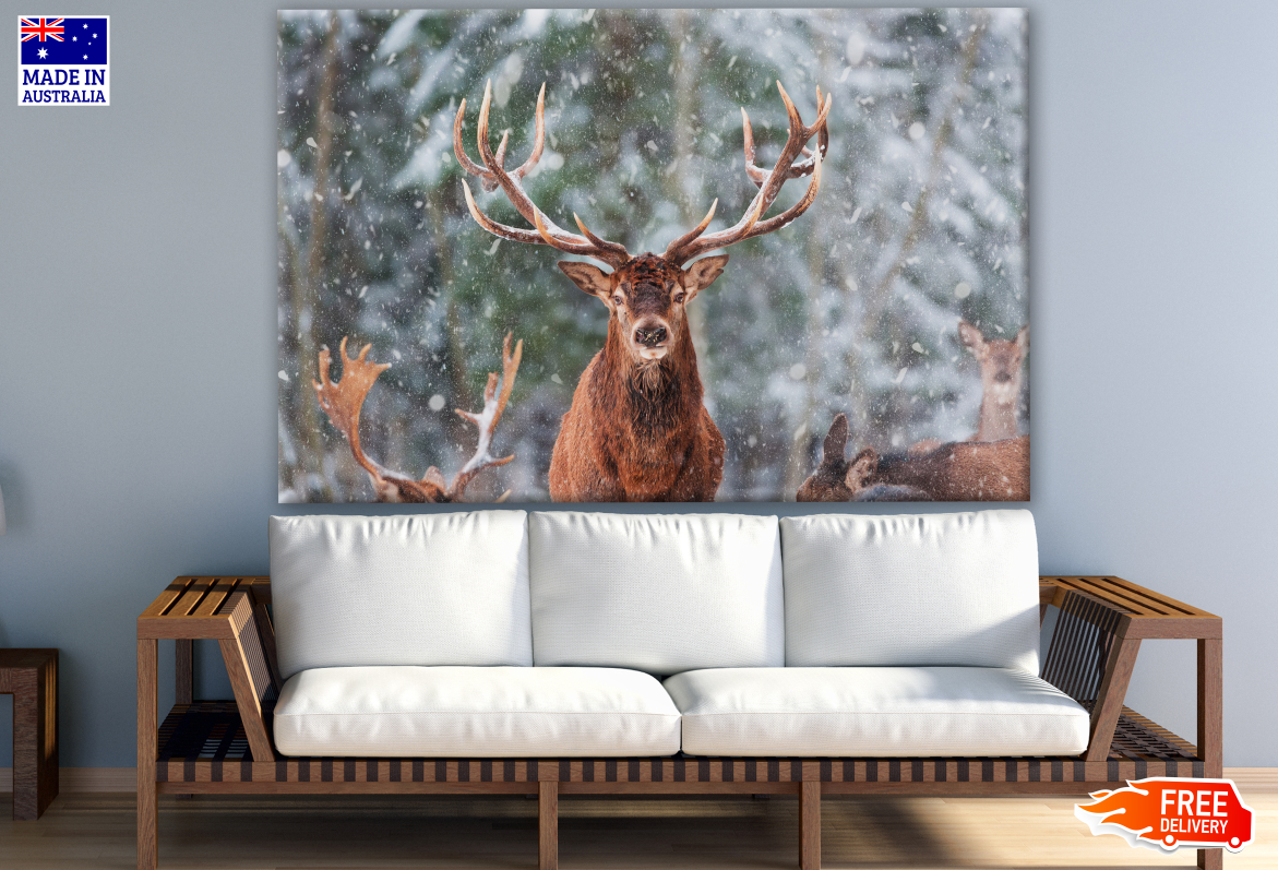 Deer Herd in a Snowy Forest Photograph Print 100% Australian Made